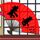日本东京发生命案
